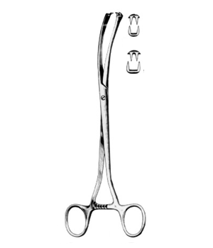 Museux Forceps